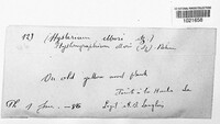 Image Associated With the Occurence